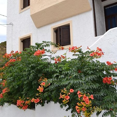 Bella Casa Lägenhet Bali  Exteriör bild